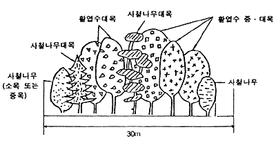 공지폭이 넓을 경우